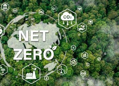 GREEN MARKETING (Phần 2)