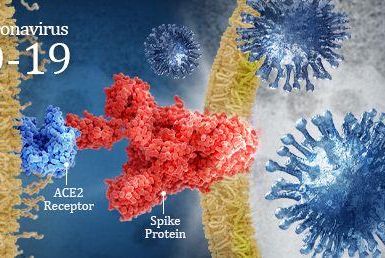 Doanh nghiệp làm gì để đối phó với dịch bệnh Covid 19