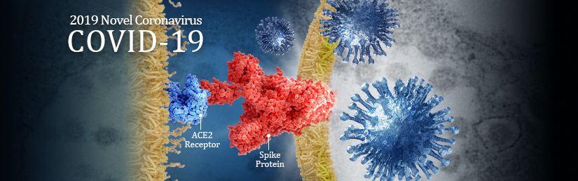 Doanh nghiệp làm gì để đối phó với dịch bệnh Covid 19